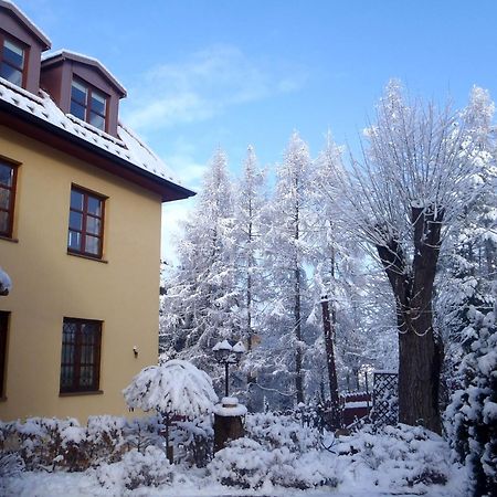 Villa Gorczanska رابكا المظهر الخارجي الصورة